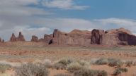 the needle